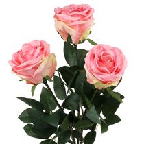 kategorie Pěnová růže a dekorativní růže
