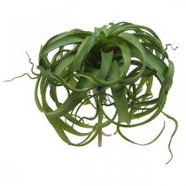 položky Tillandsia Umělá zelená rostlina k napichování Large Green Ø40cm