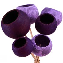 položky Bell Cup na špejli Exotická suchá dekorace Purple Berry 44cm 15ks