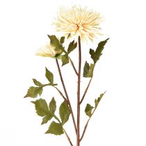 položky Chryzantéma krémová umělá květina se 2 květy L70cm
