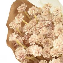 položky Italské slaměné umělé květiny růžové L28cm