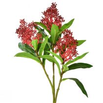 položky Umělé květiny červené Skimmia japonica Skimmie 45cm 2ks