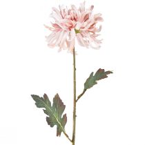 položky Umělé chryzantémy Pink Mauve Ø13cm L72cm 2ks