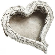 položky Rostlinná srdce peříčka litý kámen srdce šedá bílá 13×12×6cm 2ks