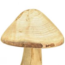 položky Přírodní dekorativní houba z jilmového dřeva - rustikální design, 27 cm - okouzlující zahradní dekorace