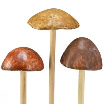položky Dekorativní houby na špejli, hnědé 5,5cm - dekorace podzimní zahrady a obývacího pokoje - 6 kusů