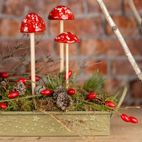 položky Muchomůrky na špejli, červené, 4cm, sada 6ks - dekorativní zahradní houby pro podzimní dekoraci