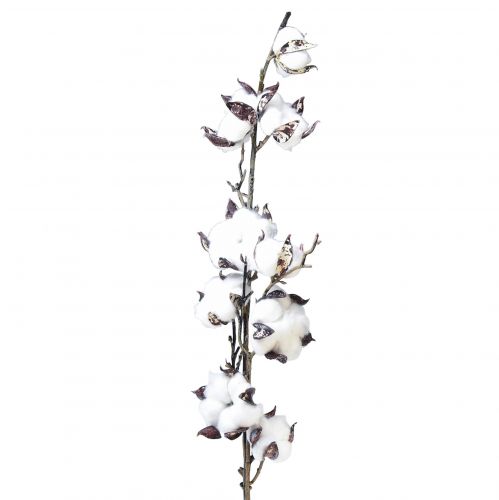 Floristik24 Bavlněné větvičky bavlněné květiny umělé hnědé bílé L95cm