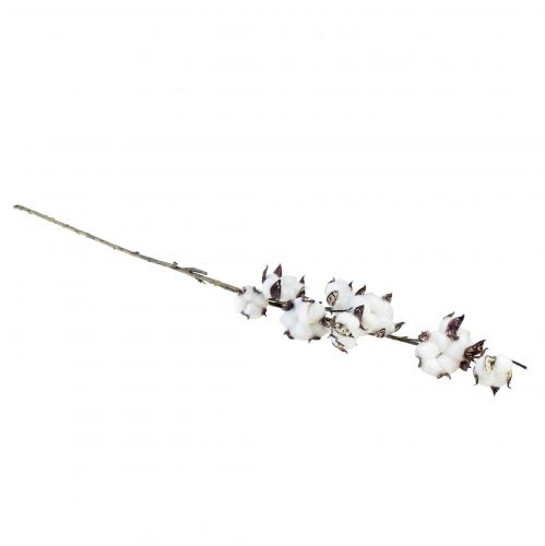 položky Bavlněné větvičky bavlněné květiny umělé hnědé bílé L95cm