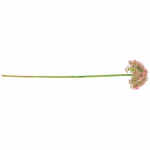 položky Allium umělá růžová 55cm