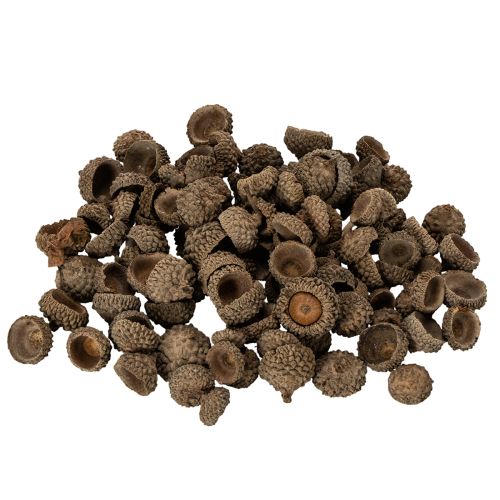 položky Přírodní žaludy, dekorativní misky na podzim a advent, 2 cm, 300 g
