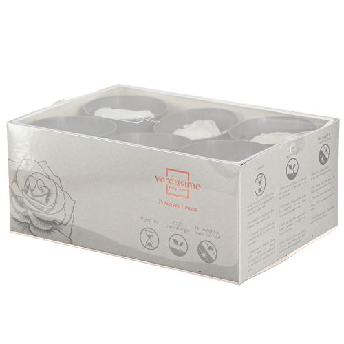 Floristik24 Infinity Roses Pravé konzervované hlávky růží bílé Ø6cm 6 ks