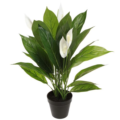 Umělá hrnková rostlina Jednolistá Peace Lily Zelená Bílá 55cm