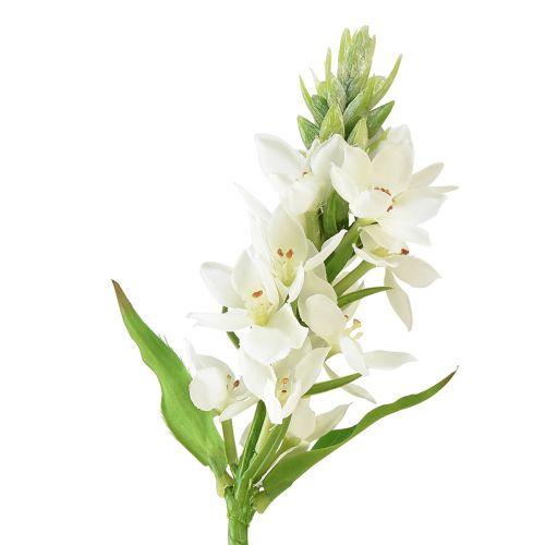 Floristik24 Umělý květ Garden Milk Star Umělý květ bílý 50cm