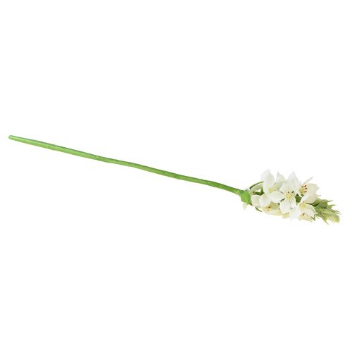 položky Umělý květ Garden Milk Star Umělý květ bílý 50cm