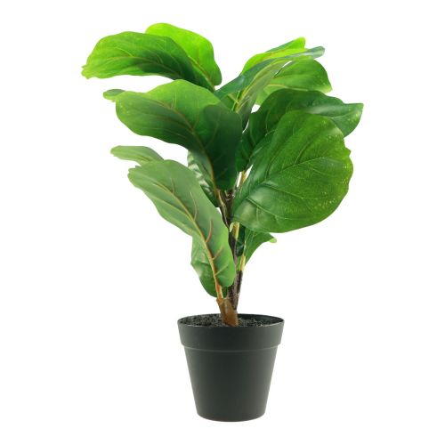 položky Umělá rostlina v květináči Ficus umělá rostlina v květináči 42cm