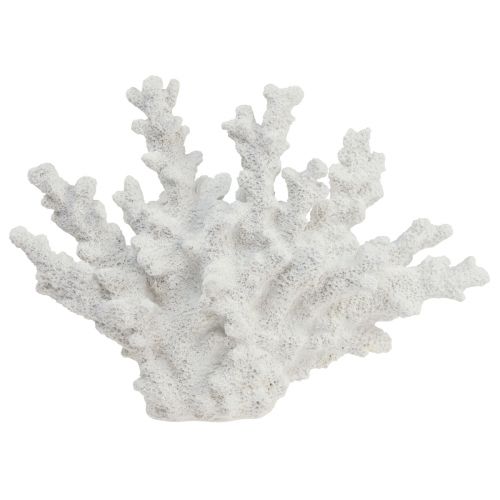 položky Námořní dekorace korálový polyresin bílý 18,5×26cm