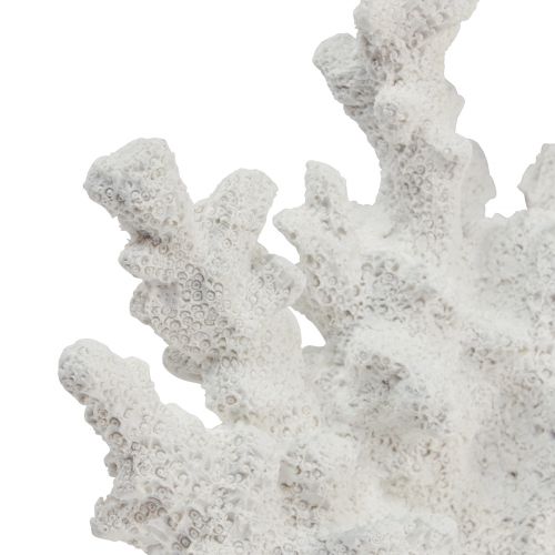 položky Námořní dekorace korálový polyresin bílý 18,5×26cm