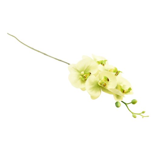 položky Orchidej umělá žlutá zelená Phalaenopsis 85cm