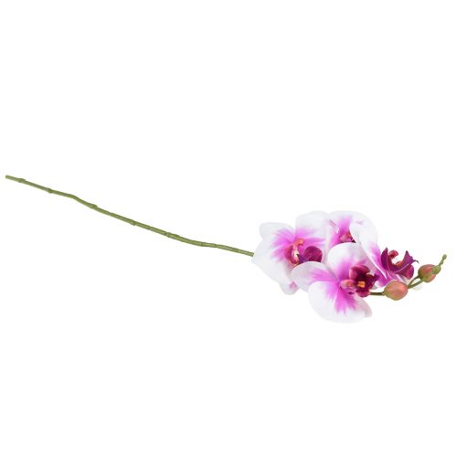 položky Orchidej umělá Phalaenopsis 4 květy bílá růžová 72cm