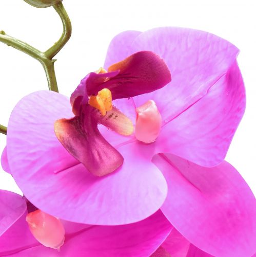 položky Umělá orchidej Phalaenopsis Orchid Pink 78cm