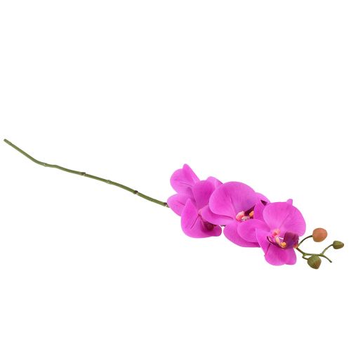 položky Umělá orchidej Phalaenopsis Orchid Pink 78cm