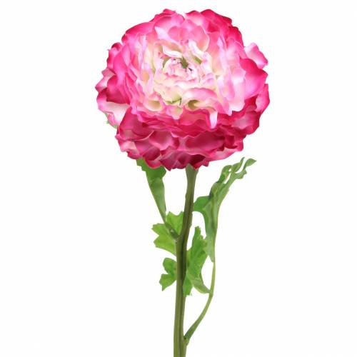 Floristik24 Ranunculus růžový umělý 48cm