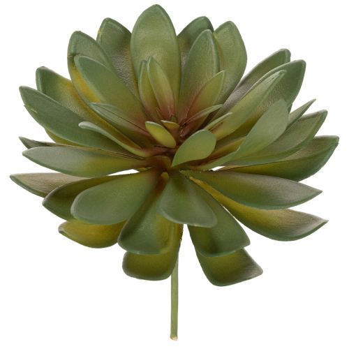 položky Umělý sukulent jako dekorativní rostlina, zelený, 18 cm, 3 kusy