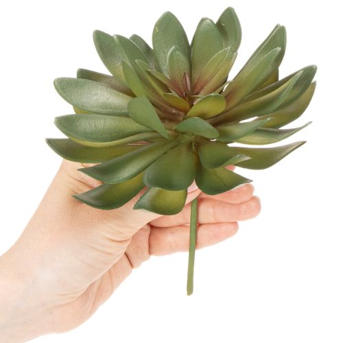 položky Umělý sukulent jako dekorativní rostlina, zelený, 18 cm, 3 kusy