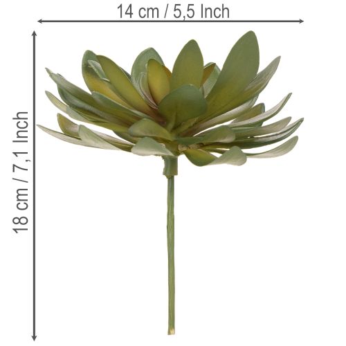položky Umělý sukulent jako dekorativní rostlina, zelený, 18 cm, 3 kusy