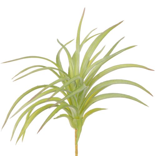 Tillandsia zelené umělé rostliny s tyčí Ø17cm 3ks