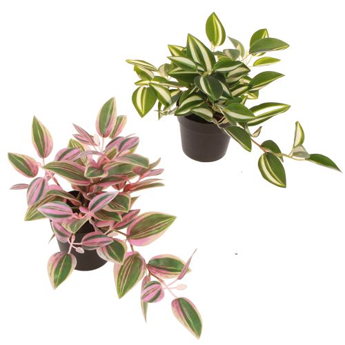 Tradescantia Umělá zelená rostlina v květináči H19,5cm 2ks