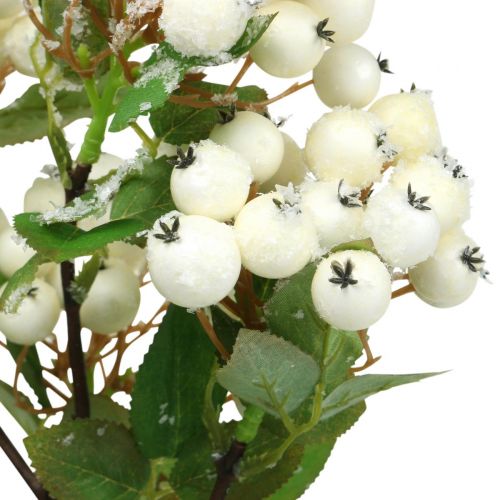 položky Vánoční větve, snowberry, umělá rostlina zasněžená L58cm