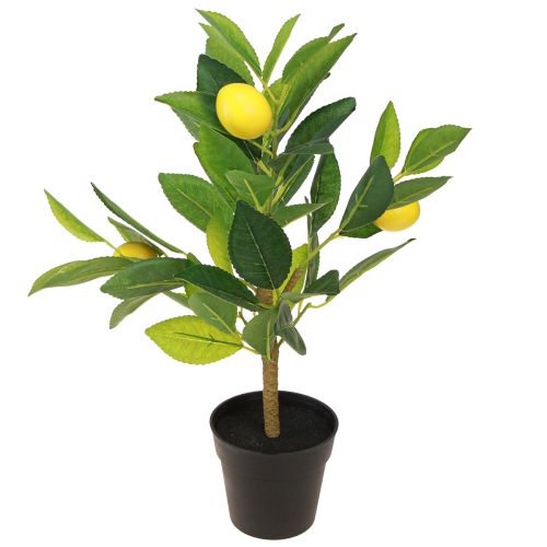 Floristik24 Umělý citroník Citronovník v květináči V40cm