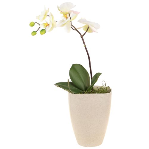 Květináč na orchidej květináč plastový béžový melír 13,5x13cm H16,5cm 4ks