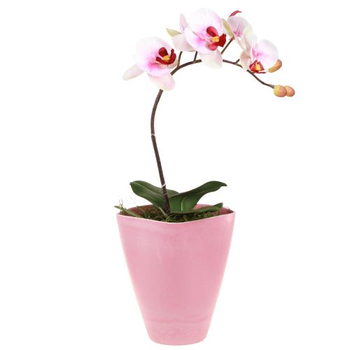 Floristik24 Květináč plastová váza květináč na orchidej růžový H16,5cm 4ks