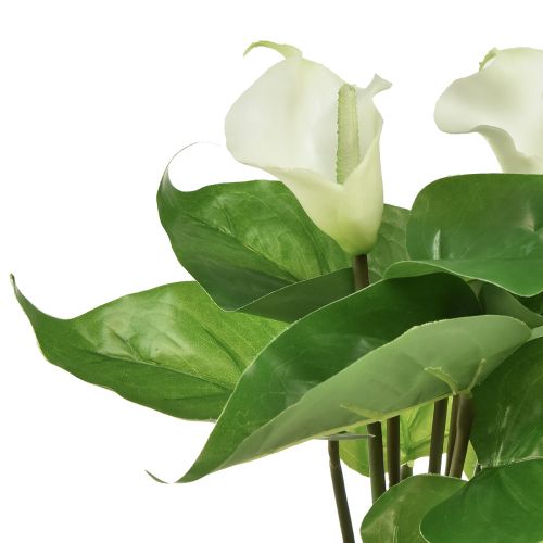 položky Calla Lily Kalla umělé květiny Bílé exotické květiny 34cm