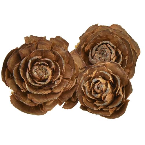 Šišky z cedru řezané jako růže cedrová růže 4-6cm přírodní 50 kusů.