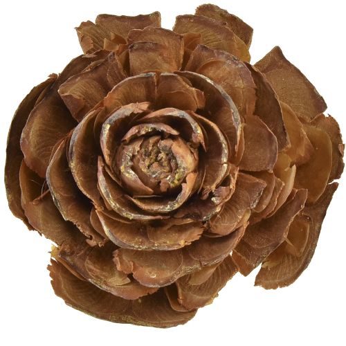 položky Šišky z cedru řezané jako růže cedrová růže 4-6cm přírodní 50 kusů.