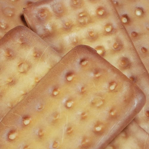 položky Ozdobné sušenky umělá výživa 9×4cm 24 ks