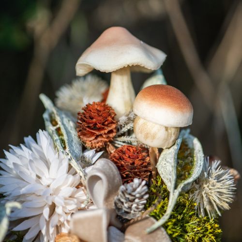 Floristik24 Ozdobné žampiony na nalepení hnědé dekorativní žampiony podzimní 3,5/5,5cm 16 kusů