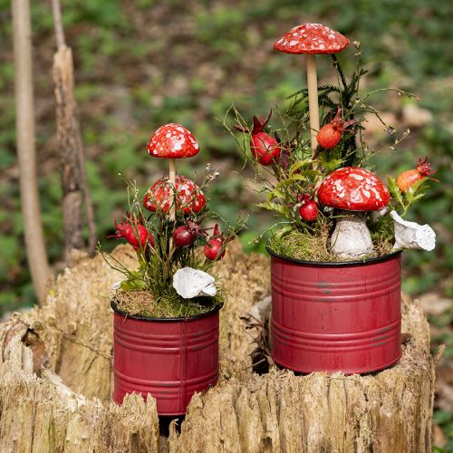Floristik24 Muchomůrky na špejli, červené, 5,5cm, sada 6ks - dekorativní podzimní houby na zahradu i domov