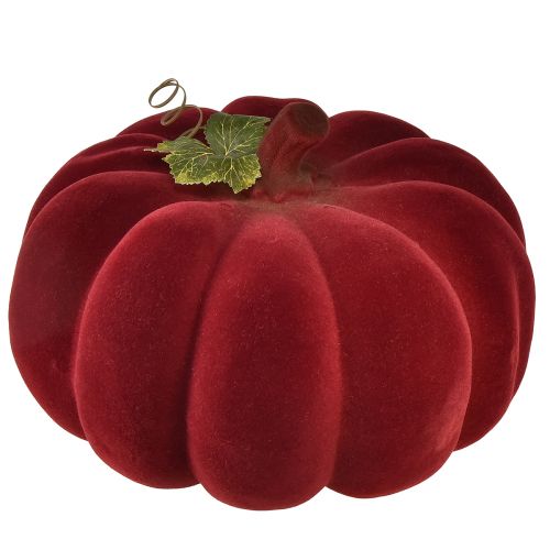 položky Podzimní dekorace dýně flocked red burgundy - dýňová dekorace pro jedinečnou podzimní atmosféru 32cm