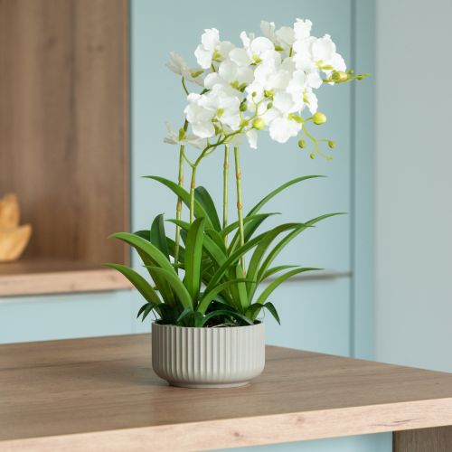 Umělé orchideje umělé květiny v květináči bílé 60cm