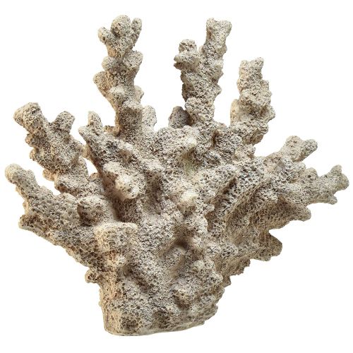 položky Detailní korálová dekorace z polyresinu v šedé barvě - 26 cm - námořní elegance pro váš domov