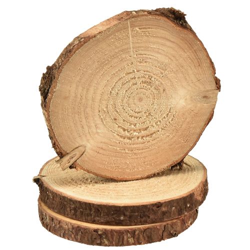 položky Mini kotouč na strom s kůrou přírodní dřevo dekorace Ø8-9cm 9ks