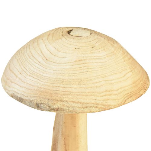 položky Živá socha houby z jilmového dřeva - Rustikální design, 37 cm - Stylová dekorace do zahrady a interiéru
