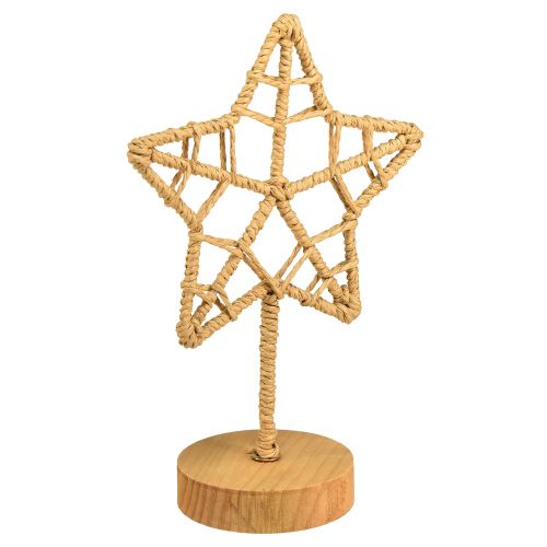 Hvězdicová dekorace kovový dřevěný stojan přírodní vlákno Ø15cm 2ks
