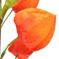 Floristik24 Umělá květina oranžová lucerna květina Physalis dekorativní hedvábné květiny 93cm 2ks