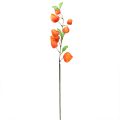 Floristik24 Umělá květina oranžová lucerna květina Physalis dekorativní hedvábné květiny 93cm 2ks